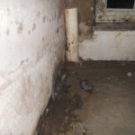 foto kelders10