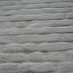 kaleien1