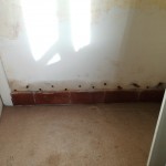 klussenier renovatie meester BAAS WERKT ZELF MEE1