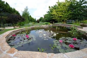 Vijver waterdicht maken
